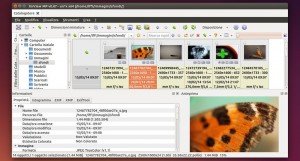 XnViewMP 1.6.1 downloading