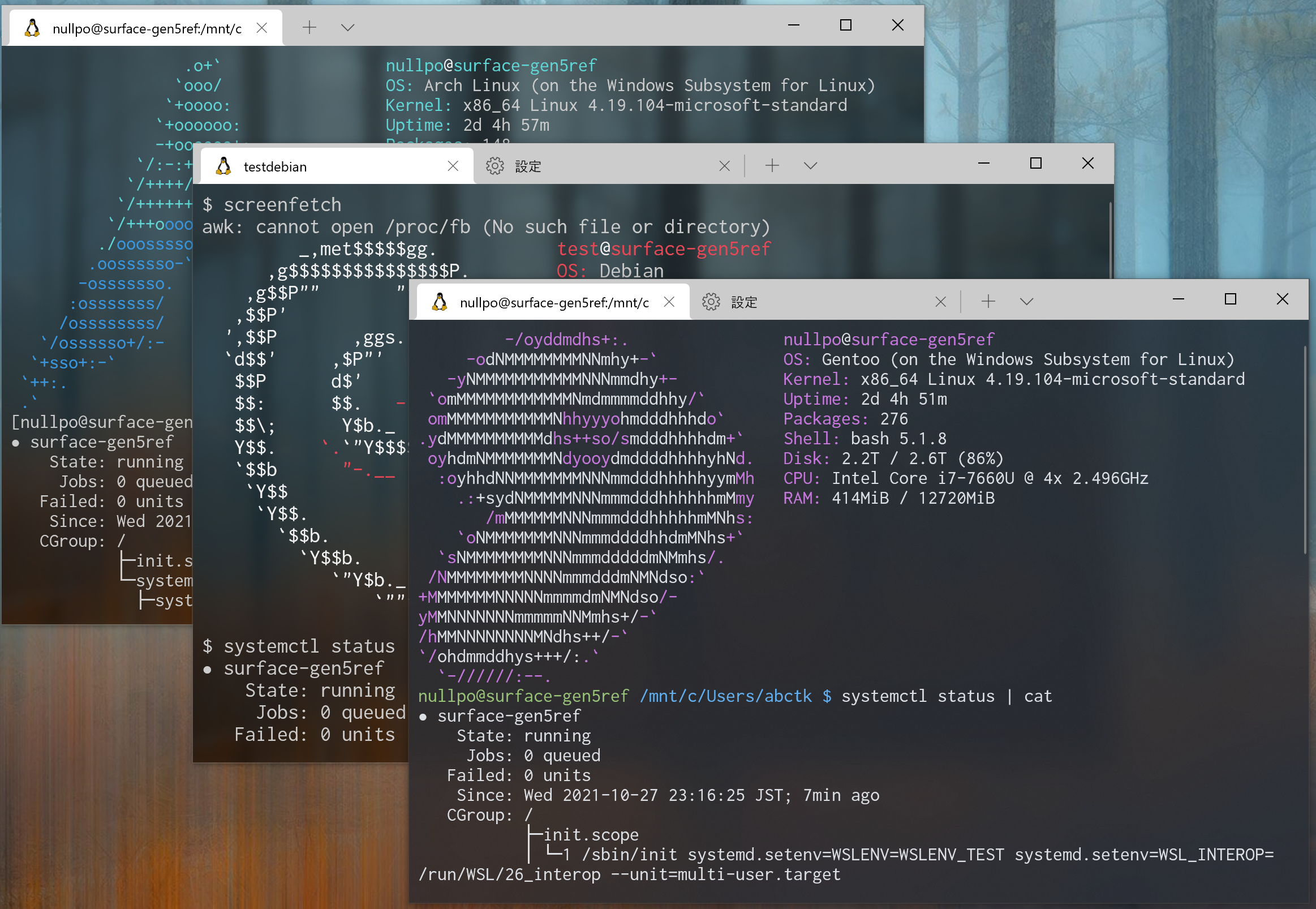 Юниты systemd. Windows Subsystem for Linux. Systemd Linux. Gentoo Linux. WSL Gentoo.